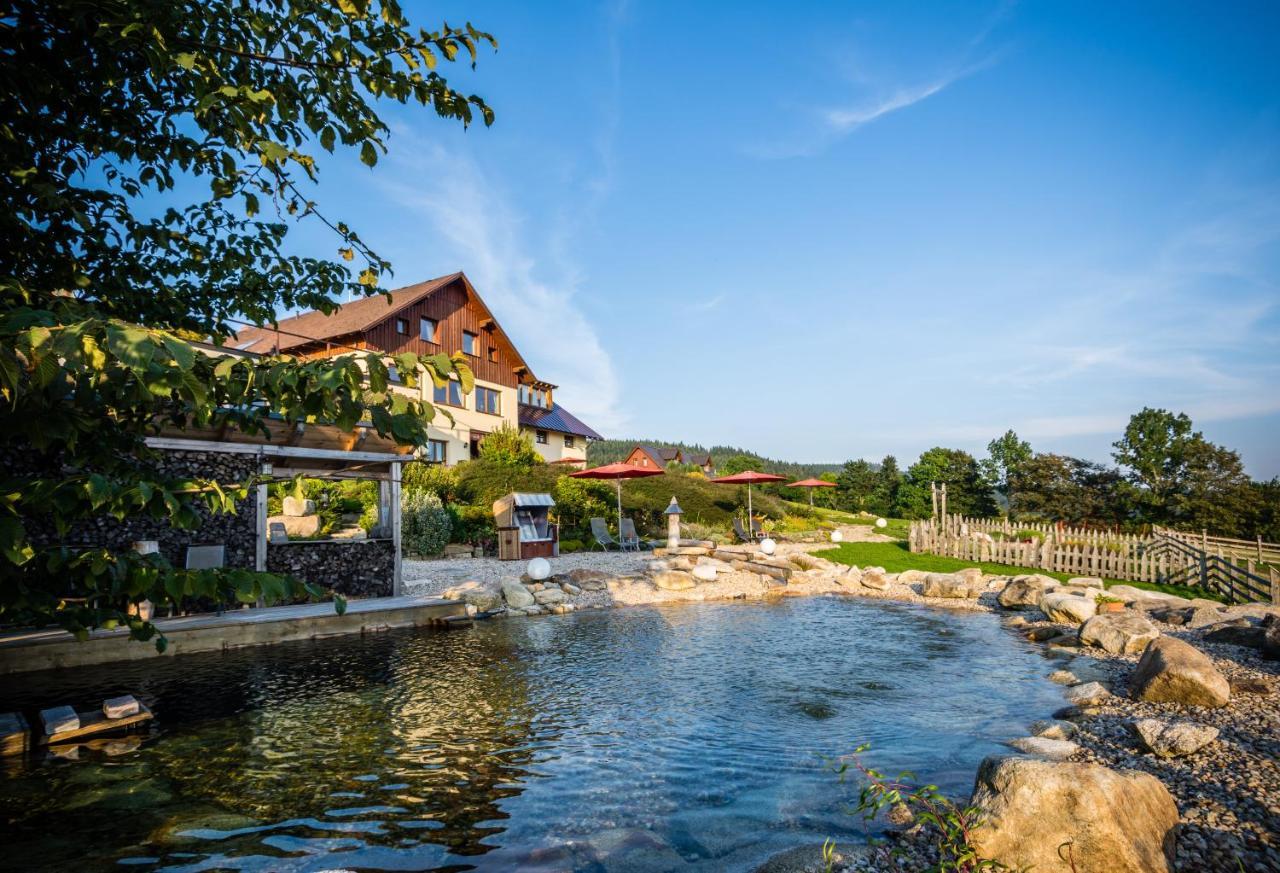 Wellness Hotel V Nebi Kořenov エクステリア 写真